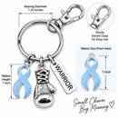 Light Blue Awareness Ribbon Warrior Keychain – Boxing Glove Cancer Fighter Gift, Prostate Cancer, Men’s Health, Survivor & Support Gift